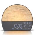 Veilleuse rechargeable tactile avec alarme et bruit blanc
